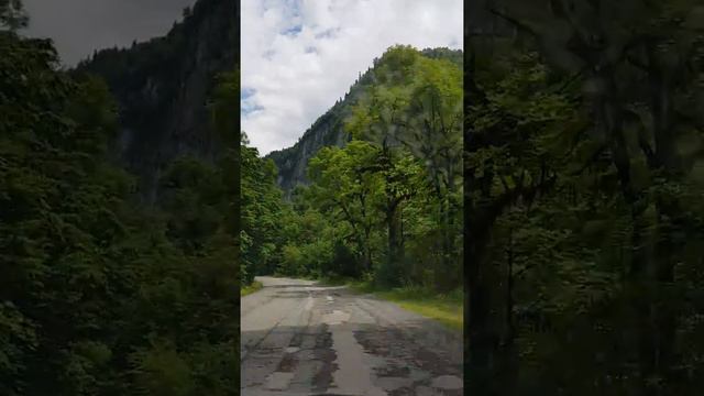 Дорога к Озеру Рица,Абхазия смотреть онлайн