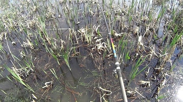 Рыбалка в луже смотреть онлайн