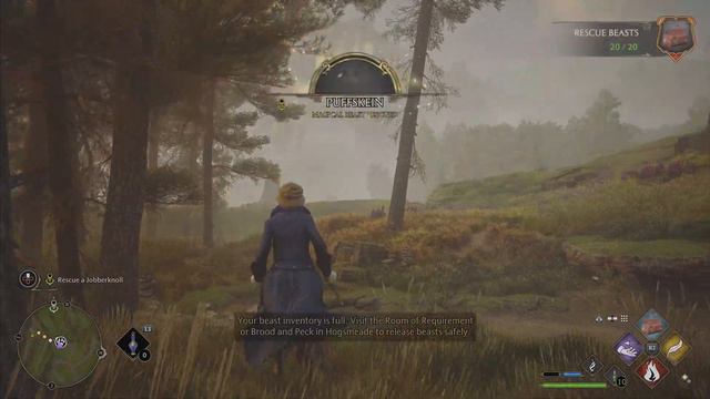 Hogwarts Legacy Unlimited Money Glitch смотреть онлайн
