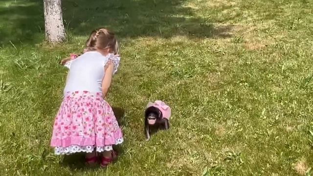 Ангелина ЛЮСИН АДВОКАТ! У Люси плохое настроение и она выгнала всех с полянки) смотреть онлайн