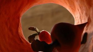 Гора самоцветов - Глинька (Argile) Русская сказка