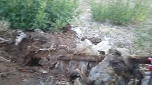 хорошие находки на выбитых местах с st944 смотреть онлайн