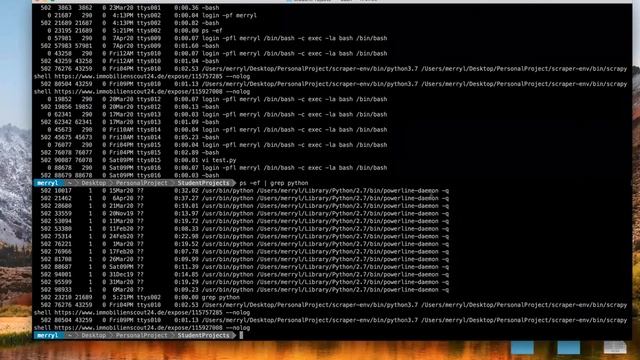 Learning Basic Linux Commands alongside Python Scripting смотреть онлайн