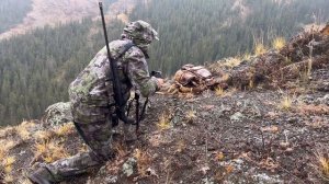 Номинация «Горная Тройка» , охота на марала ! 2023