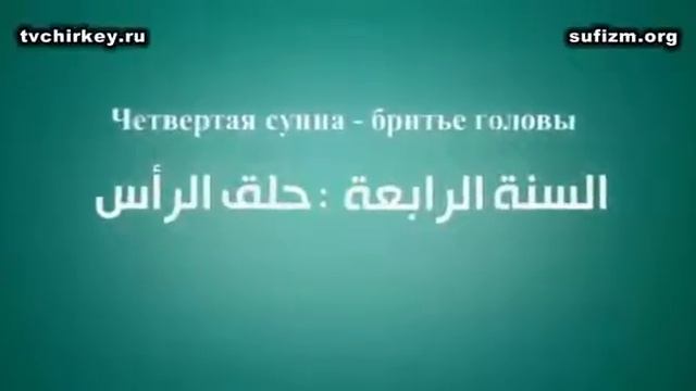 М. Саккаф Рождение ребёнка [ youtube.com/simol858 ] смотреть онлайн