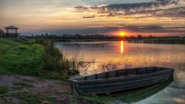 •красивый фон•шум воды•пение птиц•для сна,учебы,чтения•calm music for relaxing reading and sleeping смотреть онлайн