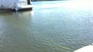 Гармин Страйкер Вивид. Garmin Striker Vivid 9 sv. 5 сентября 2022