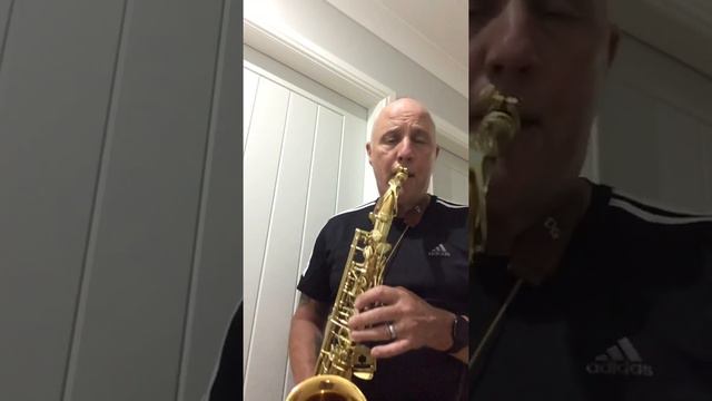 Will you Still Love Me Tomorrow (Alto sax instrumental/slow version) смотреть онлайн