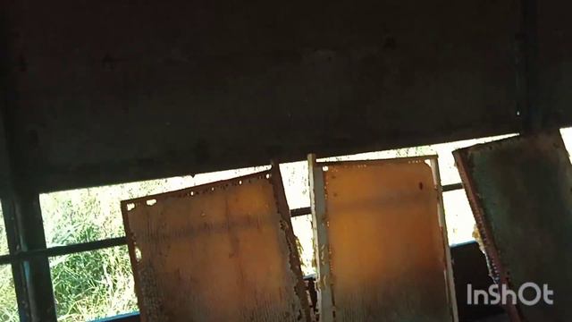 Качаю мёд 100% печатка. смотреть онлайн