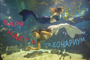 Океанариум Сочи! Варя идет в океонариум!