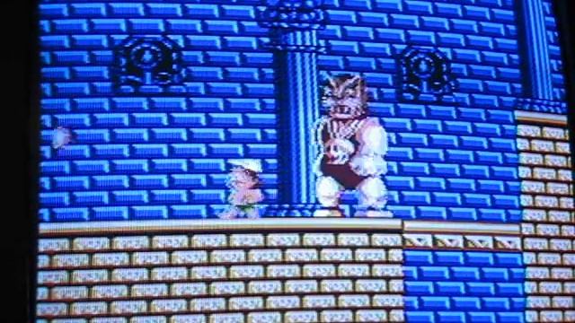 Adventure Island Final stage!!! impossible!! 8-4 смотреть онлайн