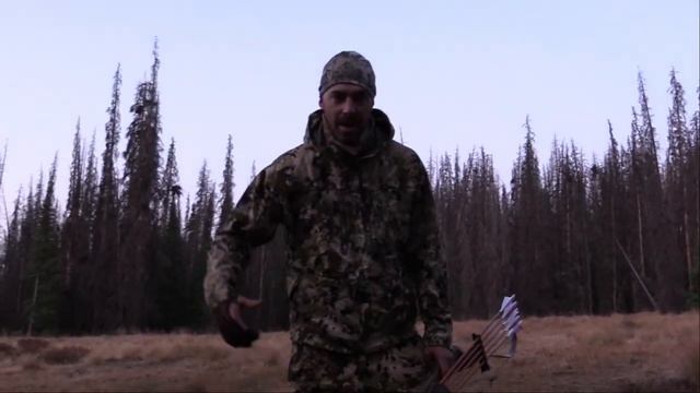 5X5 with Recurve - Colorado Elk Hunt 2020 смотреть онлайн