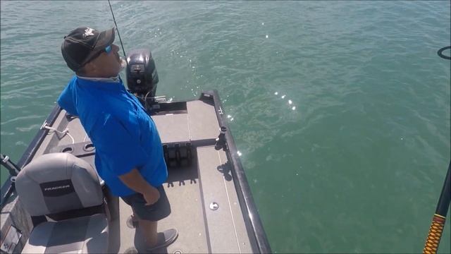 Best Live Bait For Snook And Red Fish! Pin Fish !Port Canaveral Fishing And Location? смотреть онлайн