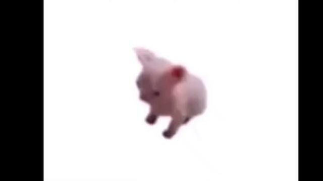 кот жестко танцует под фонк смотреть онлайн