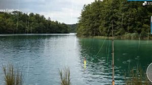 My Fishing Word- Обыкновенный подуст.(подробнее в описании)