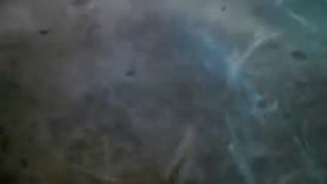 Jan Johnston -Remember Offical Music Video