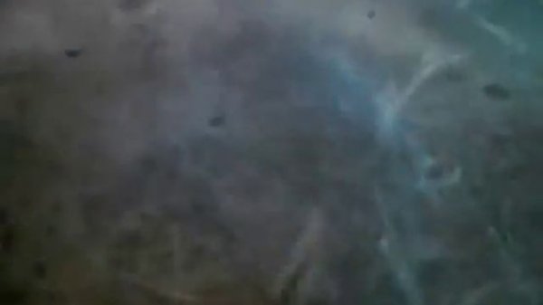 Jan Johnston -Remember Offical Music Video