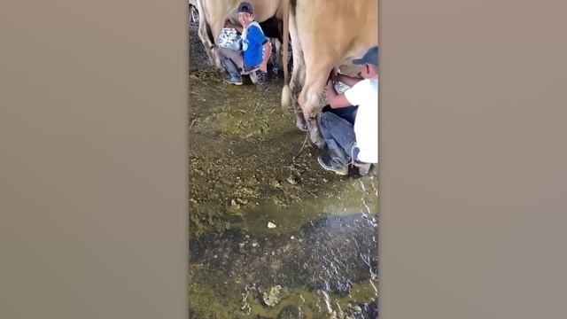 НЕВЕРОЯТНЫЕ МОМЕНТЫ, СНЯТЫЕ НА КАМЕРУ. ЛУЧШЕЕ ЗА МЕСЯЦ смотреть онлайн