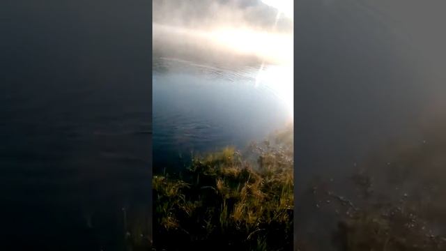 Утренний клев на озере Светлое Бурятия смотреть онлайн