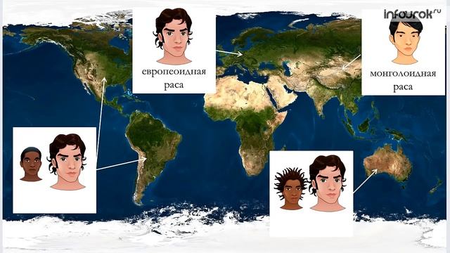 География (7 класс) - Население Земли смотреть онлайн
