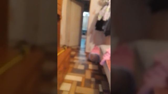 плетение для начального уровня ? ? смотреть онлайн
