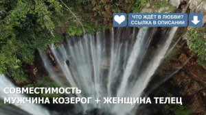 Совместимость мужчины Козерог и женщины Телец