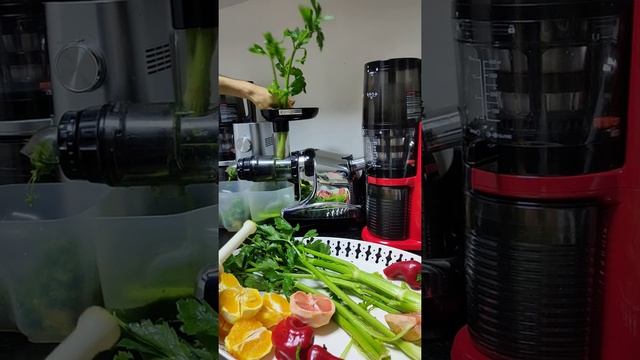 Hurom DA1000 : celery juice смотреть онлайн