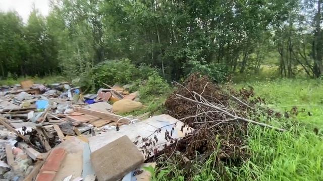Свалка мусора в лесном массиве в районе Новой Колы смотреть онлайн