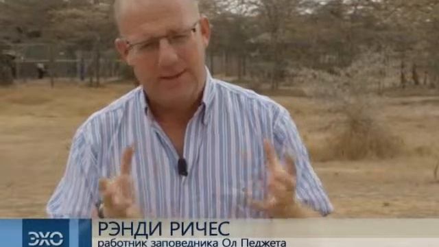 Представители зоопарков США и Кении пытаются возродить популяцию белых носорогов смотреть онлайн