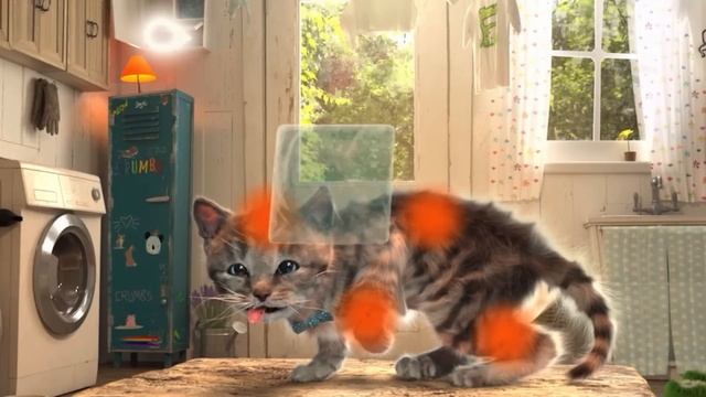 LITTLE KITTEN ADVENTURE - SUPER KITTEN ON AN ADVENTUROUS JOURNEY WITH NEW TOYS смотреть онлайн