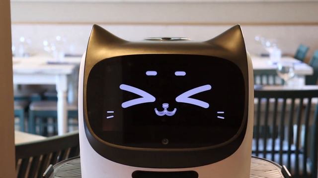 La Robot Cameriera più famosa d’Italia si trova a Todi Ristorante Pizzeria L’angolo del Gardenia Bl смотреть онлайн