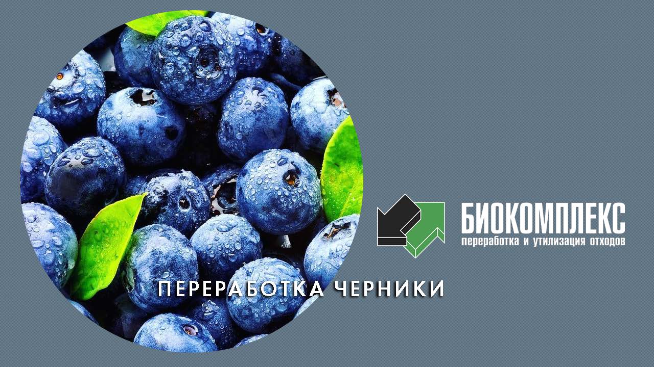 Переработка черники смотреть онлайн