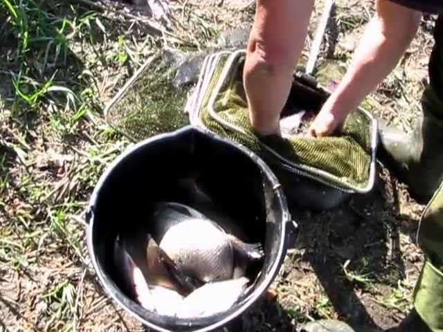 Взвешивание смотреть онлайн