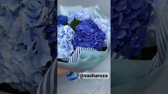 Букет из голубых и синих гортензии ? прямая ссылка в комментариях смотреть онлайн