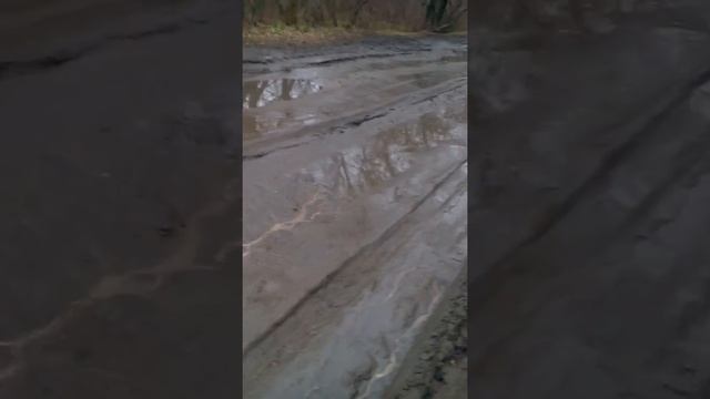 Дороги с.Березовка, Петровский район, Саратовская область смотреть онлайн