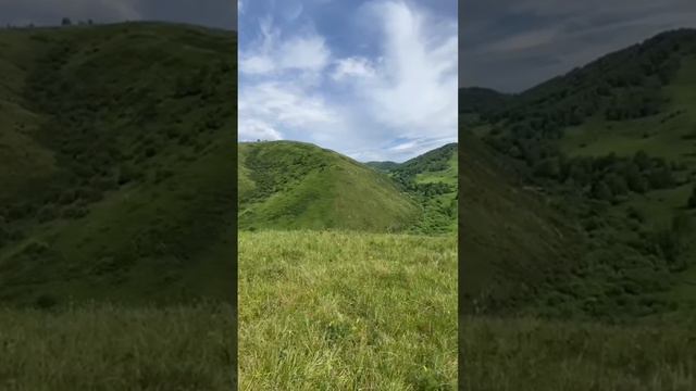 #сад #ландшафт #природа #искусство #алтай #АГУ смотреть онлайн