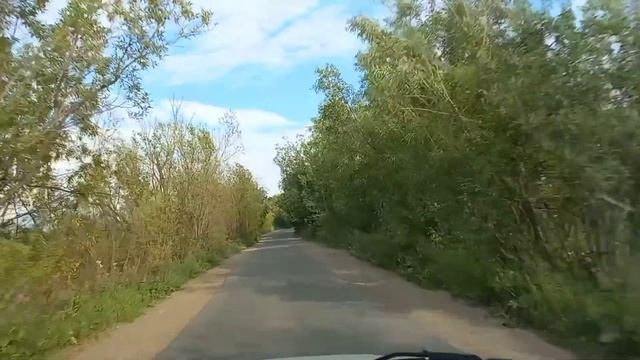 УДОБРЯЮ ОГУРЦЫ. ХВАЛЕНЫЙ ПЕТРОВСКИЙ. И НА СТАРУХУ БЫВАЕТ ПРОРУХА. РАСПАКОВКА ОТОВАРКИ.