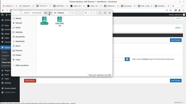 Freelancers Portfolio Website | Creative Agency, Illustrators, Designers Portfolio | Lobo WPTheme смотреть онлайн