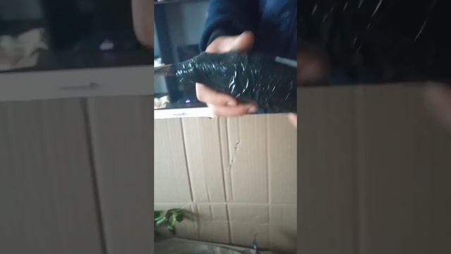 23 сентября 2021 г. смотреть онлайн