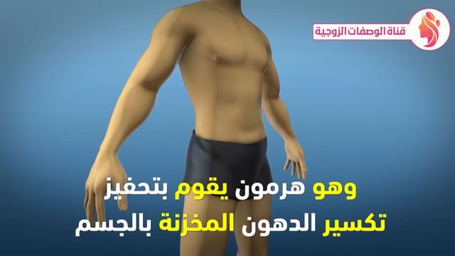 تناول القهوة بهذه الطريقة الصحيحة ستجعلك كالحصان ولكن لا ترتكبوا نفس الخطأ الذي يرتكبه ملايين الناس смотреть онлайн