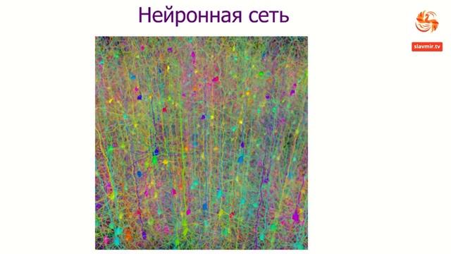 Как избавиться от переживаний, формировать и разрушать нейронные связи мозга. А. Антонов ( Ратибор смотреть онлайн