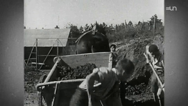Enfants Placés, Les Dossiers De La Honte - 