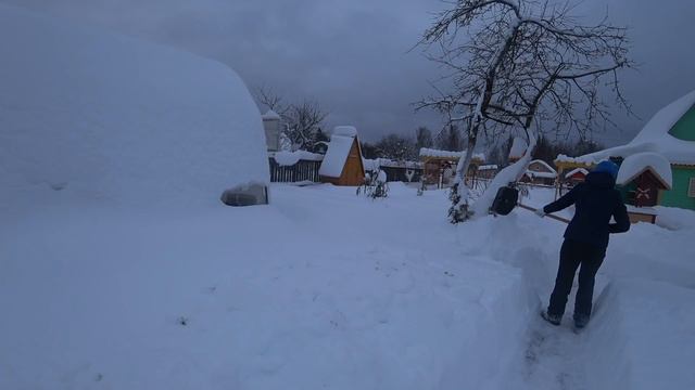 6 соток в январе. Хроника.