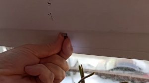 Устанавливаем на пластиковое окно ФИТОЛАМПУ для цветов.