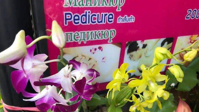 Цветы Тайланда 🌴 смотреть онлайн