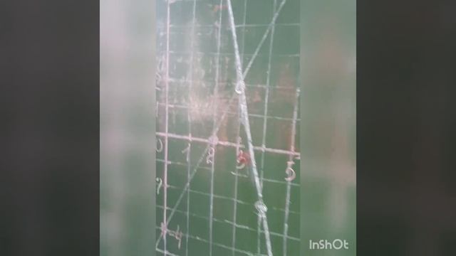 система линейных уравнений