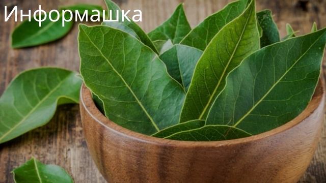 Лавровый Лист принесёт Вам Деньги, если сделать Это... смотреть онлайн