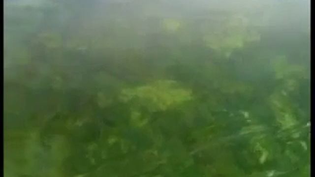 Озеро Байкал будущий океан, Величайшее озеро на Земле, Удивительный мир чистейшего озера смотреть онлайн