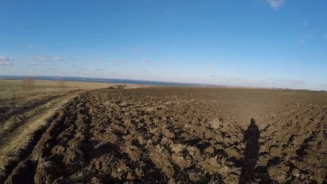 Очередная куропаточка, охота с легавой смотреть онлайн