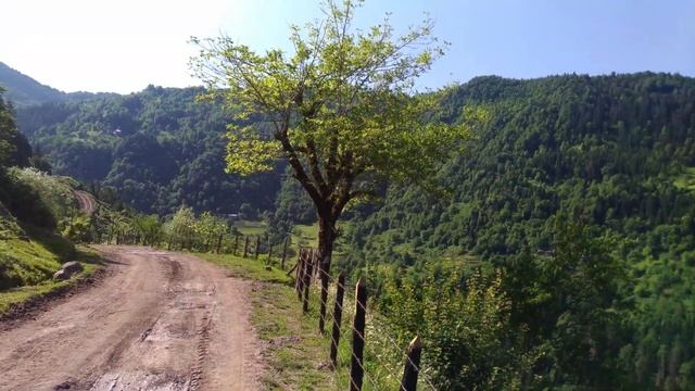 Горы Грузии, Аджария. Mountains of Georgia, Adjara смотреть онлайн